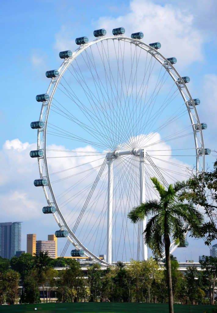 a big ferris wheel with palm trees in a city