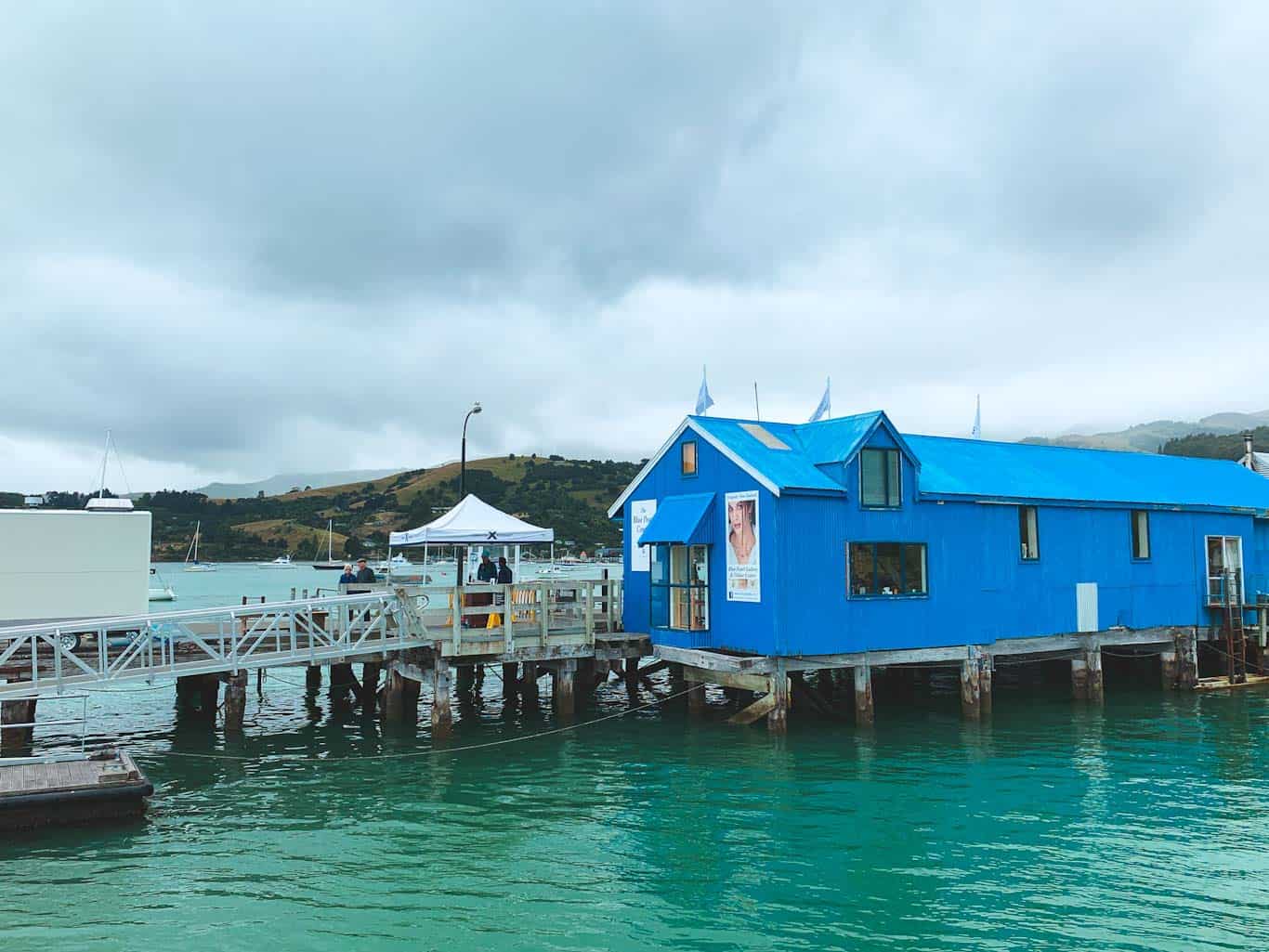 Akaroa New Zealand Cruise Port Top Shore Excursion Ideas
