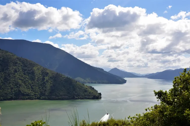 Scenic view of the marlborough sounds nestled between lush green mountain ranges under a sky dotted with fluffy white clouds, with a small boat creating ripples on the water surface