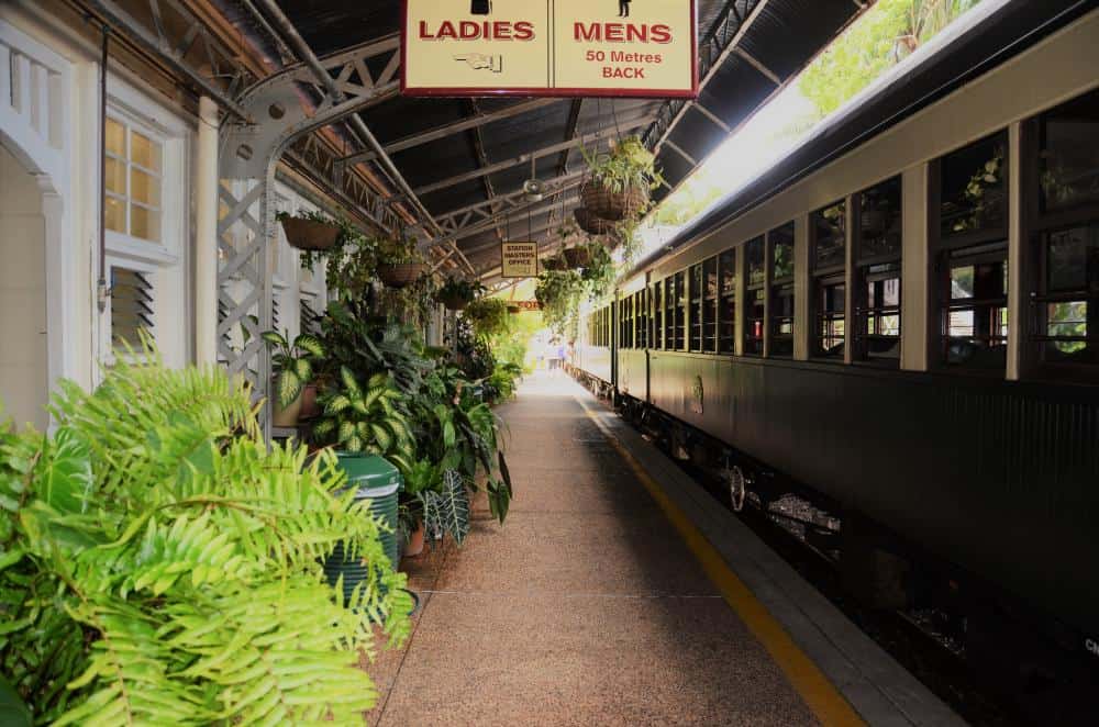 vintage train in a beautiful tropical station