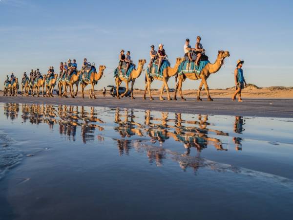 people riding a camel train on a sandy beach