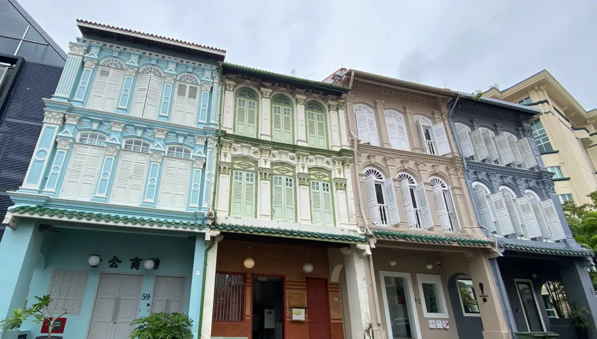 This image showcases a row of beautifully preserved Peranakan-style shophouses along Ann Siang Hill in Singapore. The pastel-colored facades, intricate wooden shutters, and ornate architectural details reflect the rich heritage of the area. The buildings, painted in shades of blue, green, beige, and grey, add a charming and nostalgic touch to this historic district.